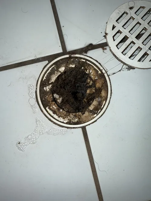 dye testing for a blocked shower drain