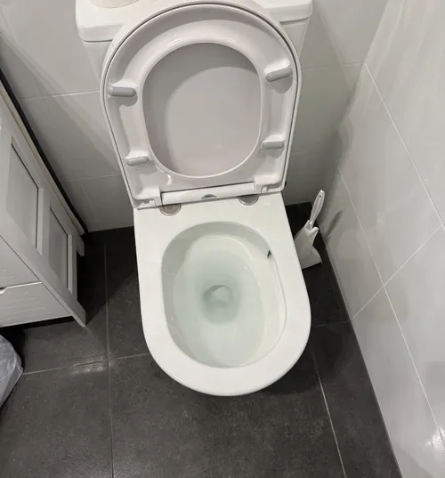 blocked toilet in a brisbane bathroom